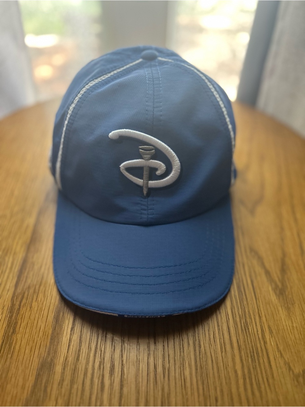 Walt Disney World Golf Baseball Hat Blue Disney Palm Disney Magnolia Hat Rare